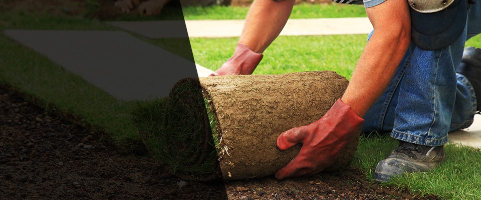 Platte City Landscapers